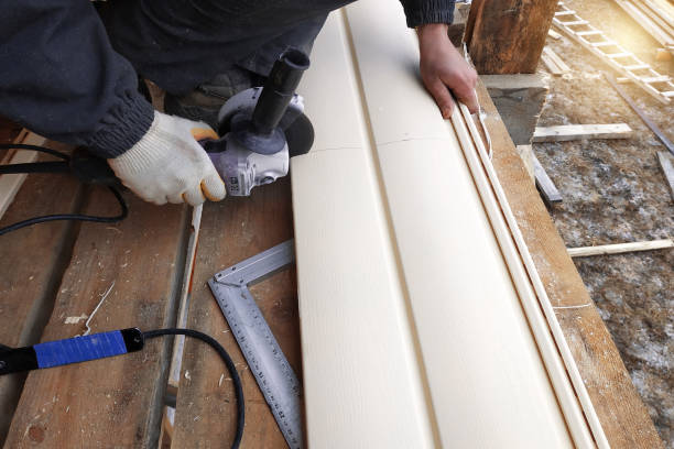Best Custom Trim and Detailing for Siding  in Anamosa, IA