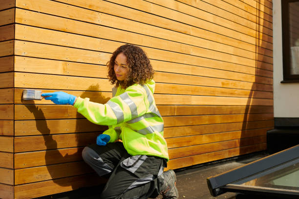 Best Aluminum Siding Installation  in Anamosa, IA