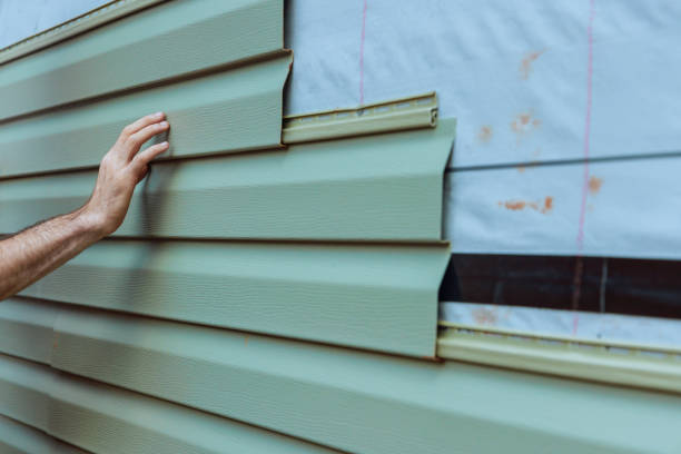 Best Siding Replacement  in Anamosa, IA